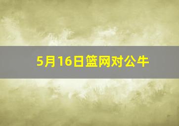 5月16日篮网对公牛