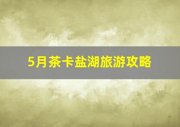 5月茶卡盐湖旅游攻略