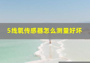 5线氧传感器怎么测量好坏