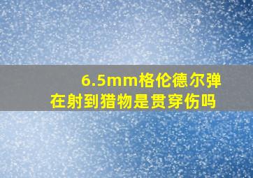 6.5mm格伦德尔弹在射到猎物是贯穿伤吗