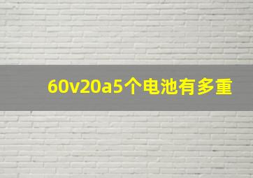 60v20a5个电池有多重