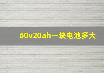 60v20ah一块电池多大