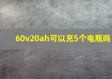 60v20ah可以充5个电瓶吗