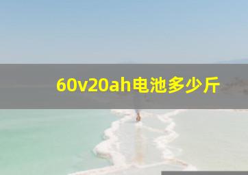 60v20ah电池多少斤