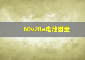 60v20a电池重量