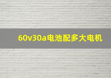 60v30a电池配多大电机