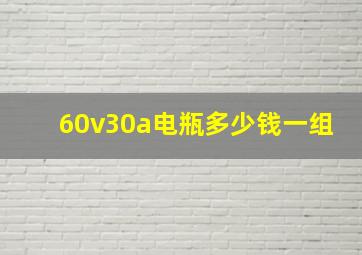 60v30a电瓶多少钱一组