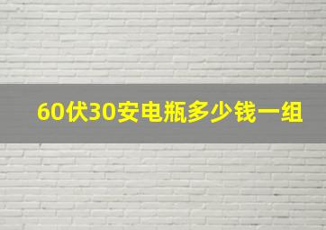 60伏30安电瓶多少钱一组