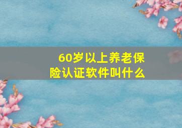 60岁以上养老保险认证软件叫什么