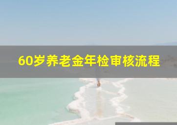 60岁养老金年检审核流程