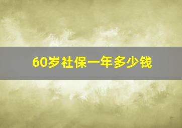 60岁社保一年多少钱