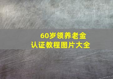 60岁领养老金认证教程图片大全