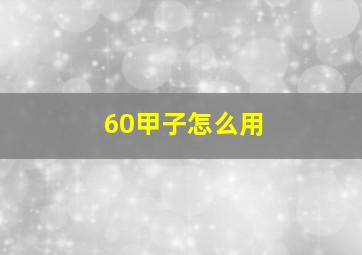 60甲子怎么用