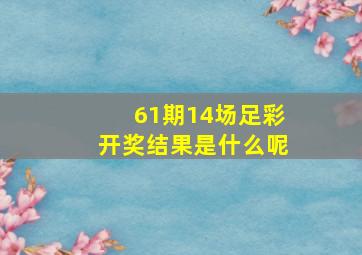 61期14场足彩开奖结果是什么呢