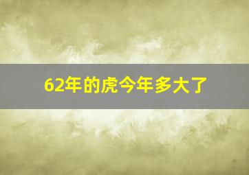 62年的虎今年多大了