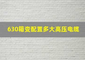 630箱变配置多大高压电缆