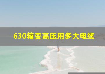 630箱变高压用多大电缆