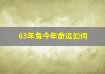 63年兔今年命运如何