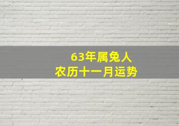 63年属兔人农历十一月运势