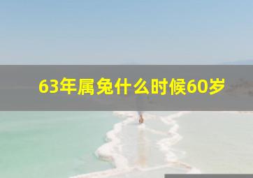 63年属兔什么时候60岁