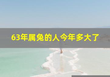 63年属兔的人今年多大了