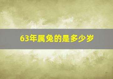 63年属兔的是多少岁