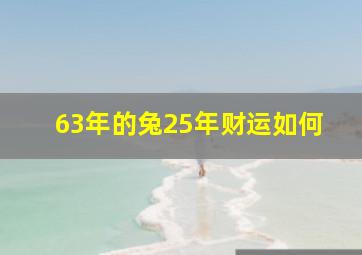 63年的兔25年财运如何