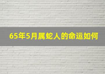 65年5月属蛇人的命运如何