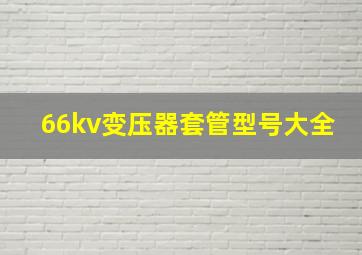 66kv变压器套管型号大全