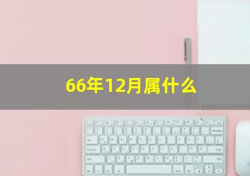 66年12月属什么