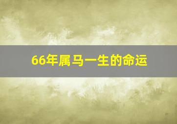 66年属马一生的命运