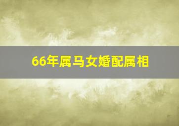 66年属马女婚配属相