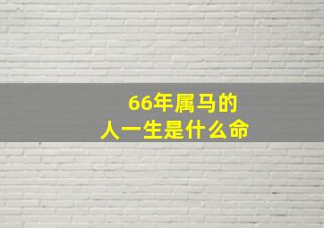 66年属马的人一生是什么命