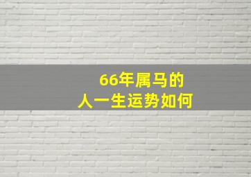 66年属马的人一生运势如何