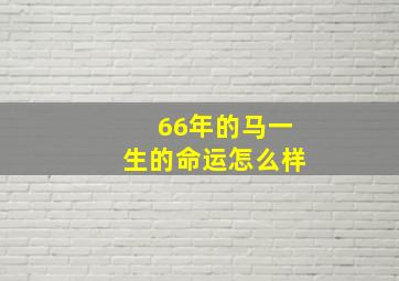 66年的马一生的命运怎么样