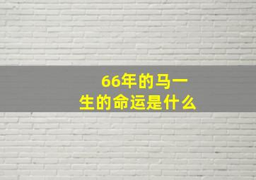 66年的马一生的命运是什么