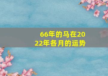 66年的马在2022年各月的运势