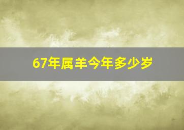 67年属羊今年多少岁