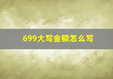 699大写金额怎么写