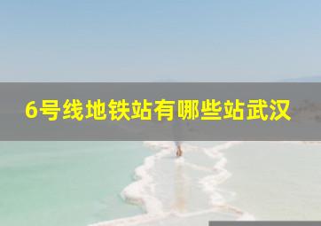 6号线地铁站有哪些站武汉