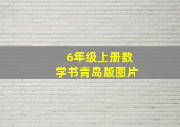 6年级上册数学书青岛版图片