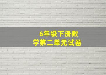 6年级下册数学第二单元试卷