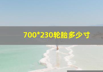 700*230轮胎多少寸