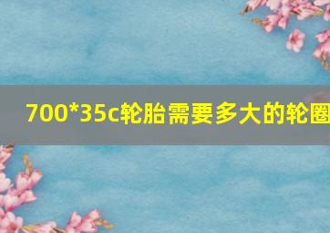 700*35c轮胎需要多大的轮圈