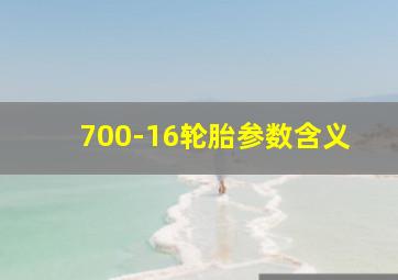 700-16轮胎参数含义