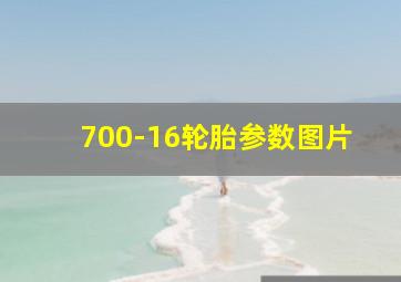 700-16轮胎参数图片