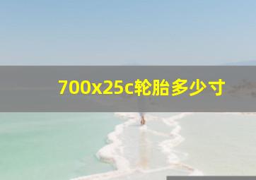 700x25c轮胎多少寸