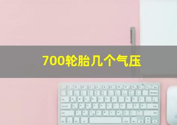 700轮胎几个气压