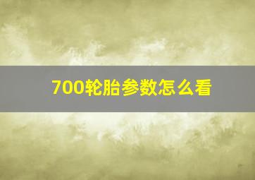 700轮胎参数怎么看