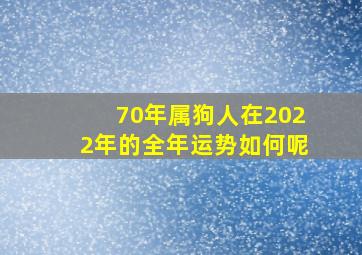 70年属狗人在2022年的全年运势如何呢